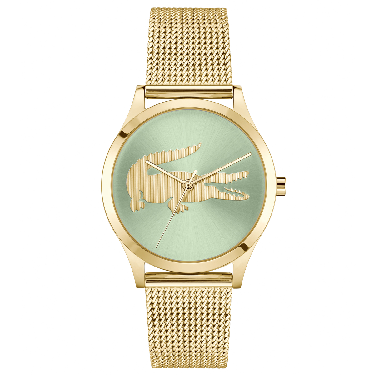 Montre Analogique  CROCODELLE, LACOSTE