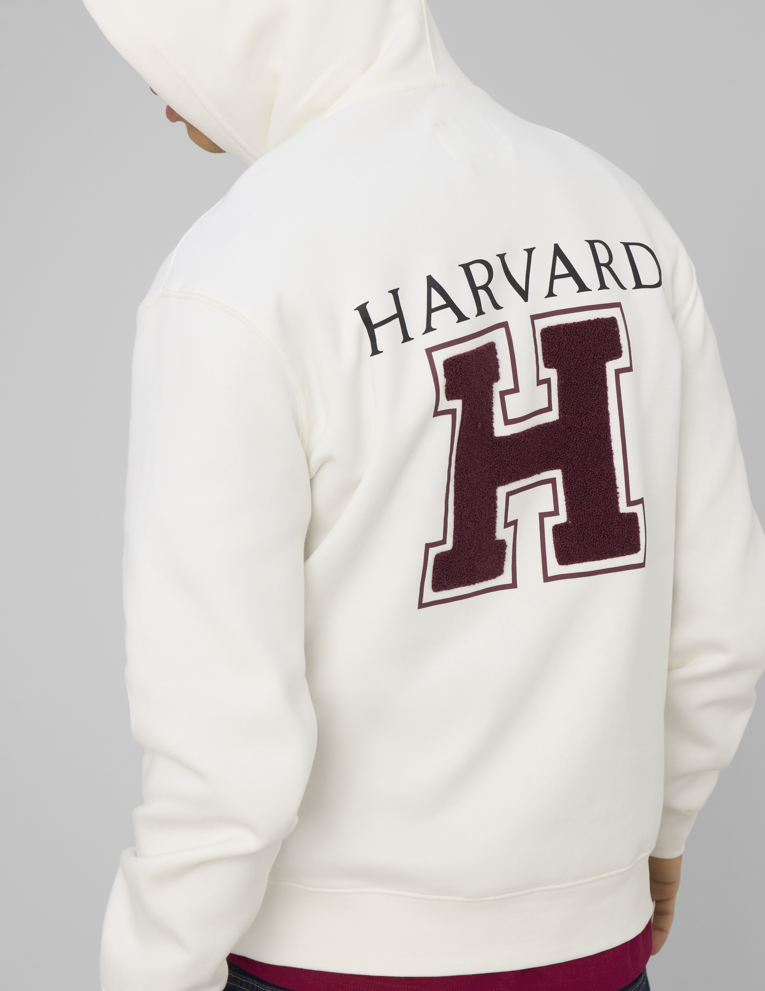 Sweat licence harvard, BZB
