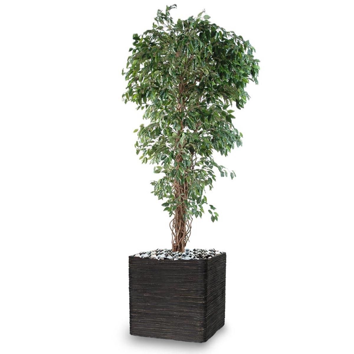 ficus benjamina factice petite feuille tronc nature en pot h150cm vert - dimhaut: h 150 cm couleur: