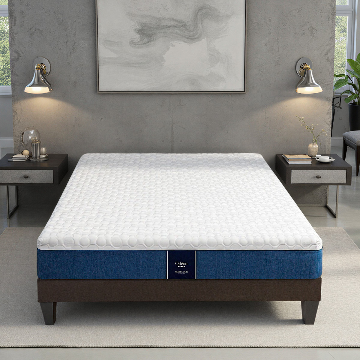 Matelas Mémoire de forme 24 cm ODÉON, BELLECOUR