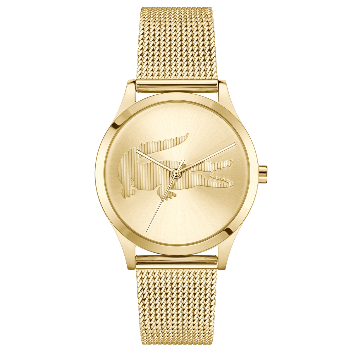 Montre Analogique  CROCODELLE, LACOSTE