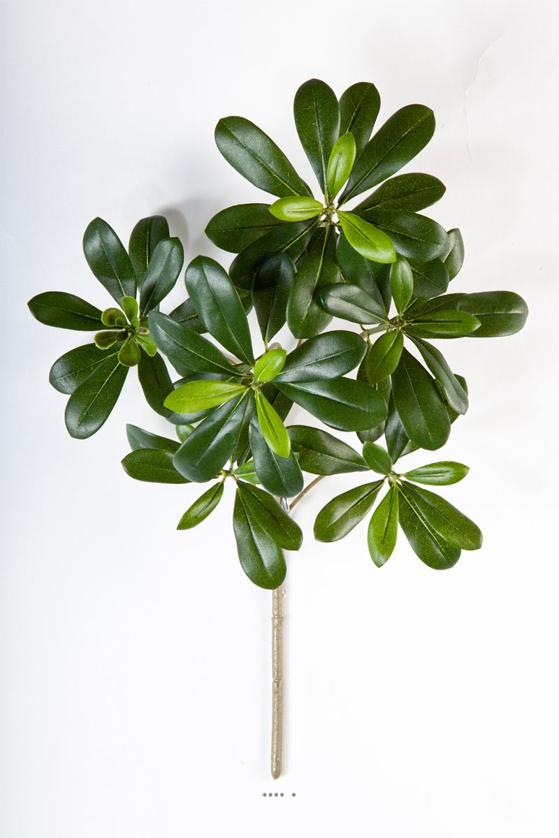 Branche de Pittisporum artificiel H 40 cm, ARTIFICIELLES