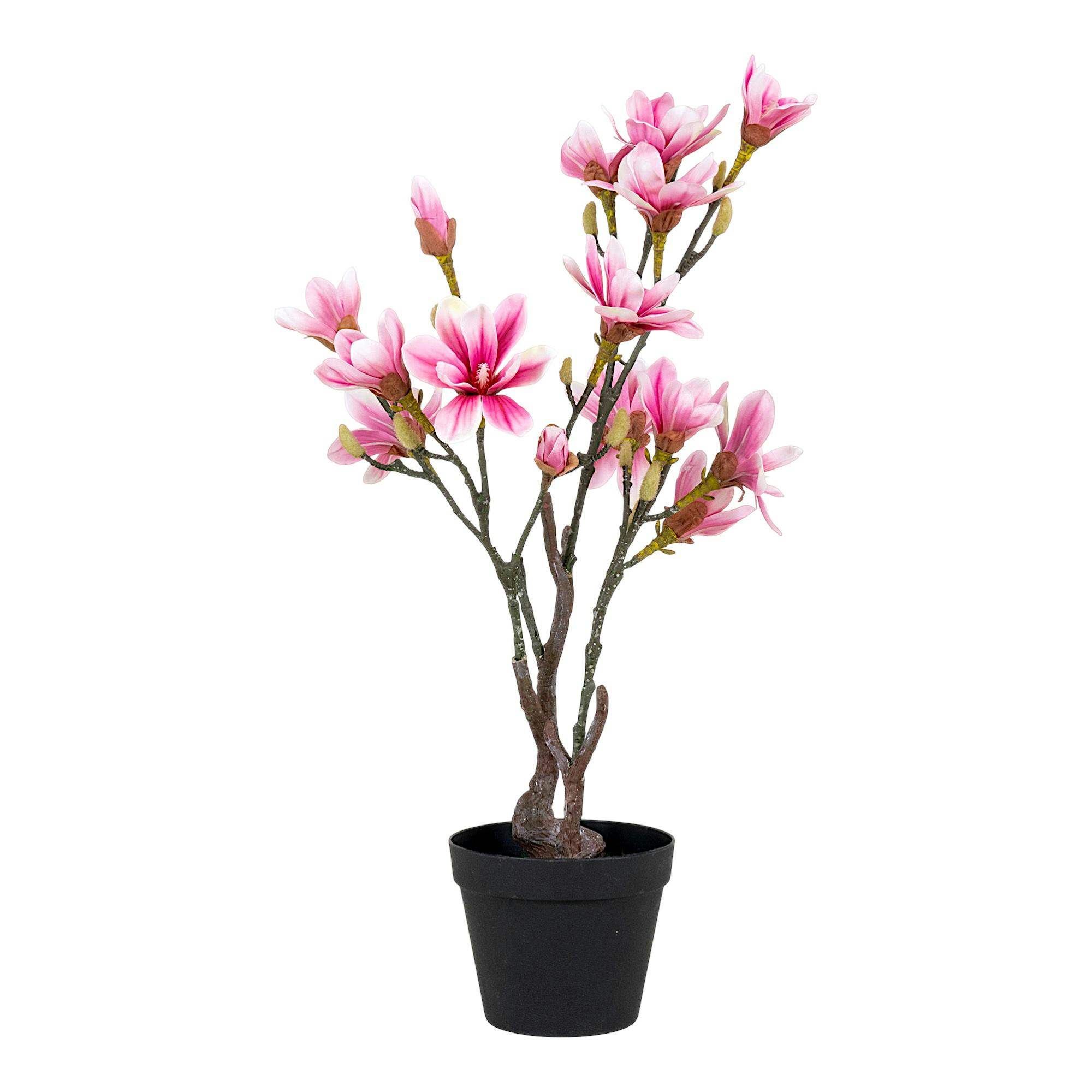 Magnolia artificiel rose en pot, PIER IMPORT