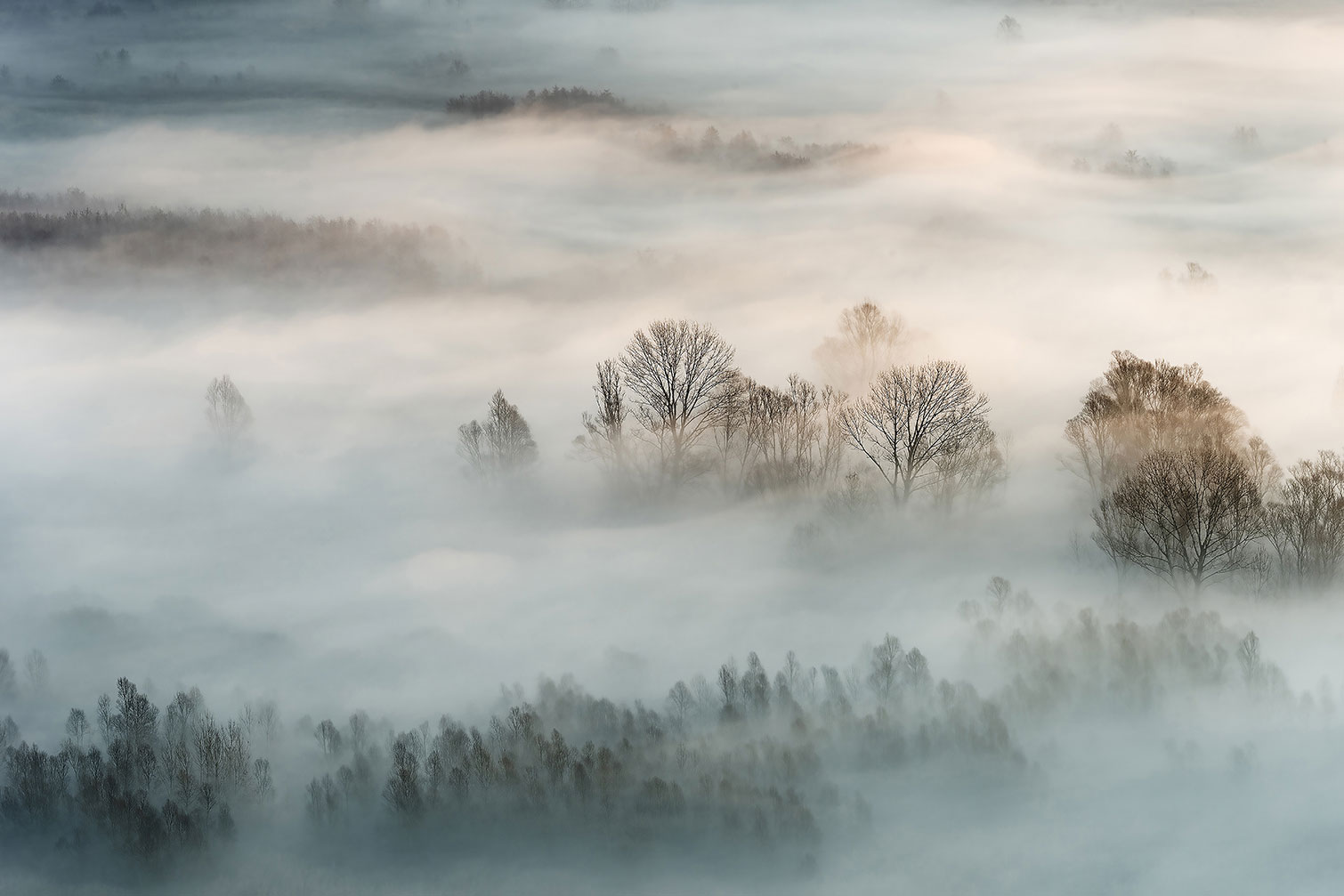 Tableau brouillard hivernal, HEXOA