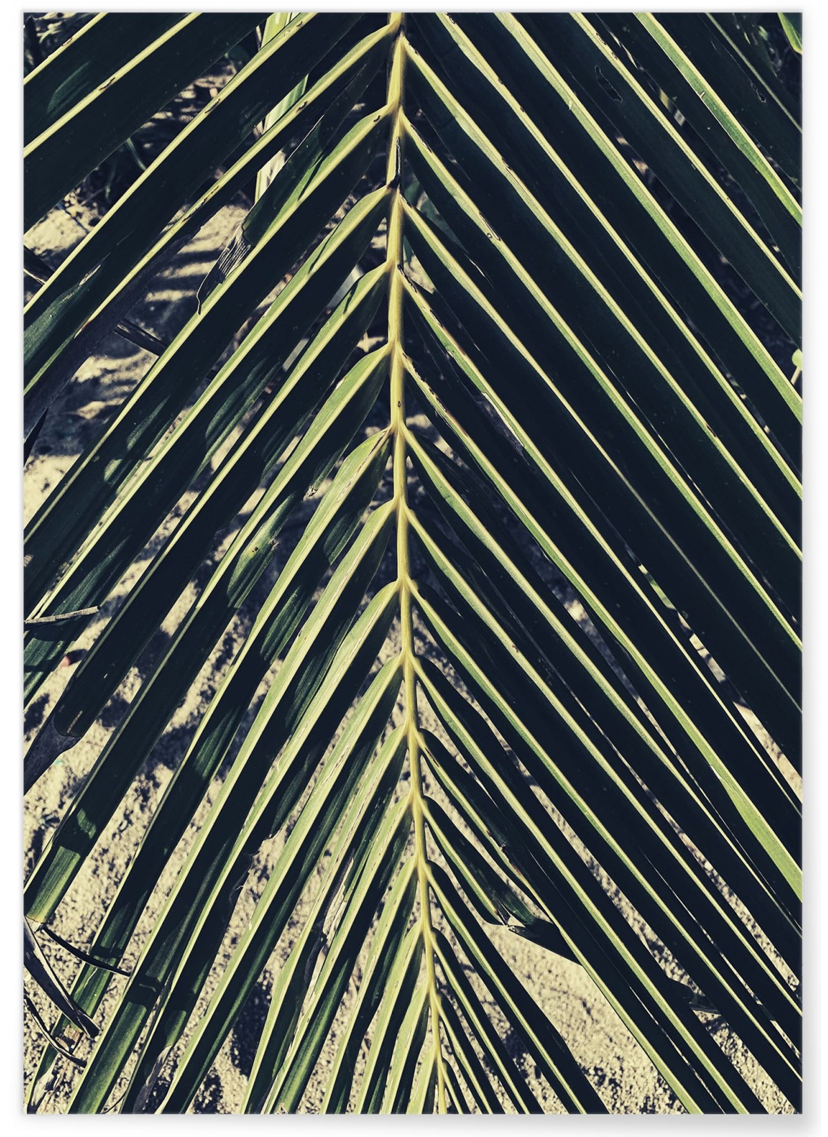 Poster nature Verte n°2, L'AFFICHERIE