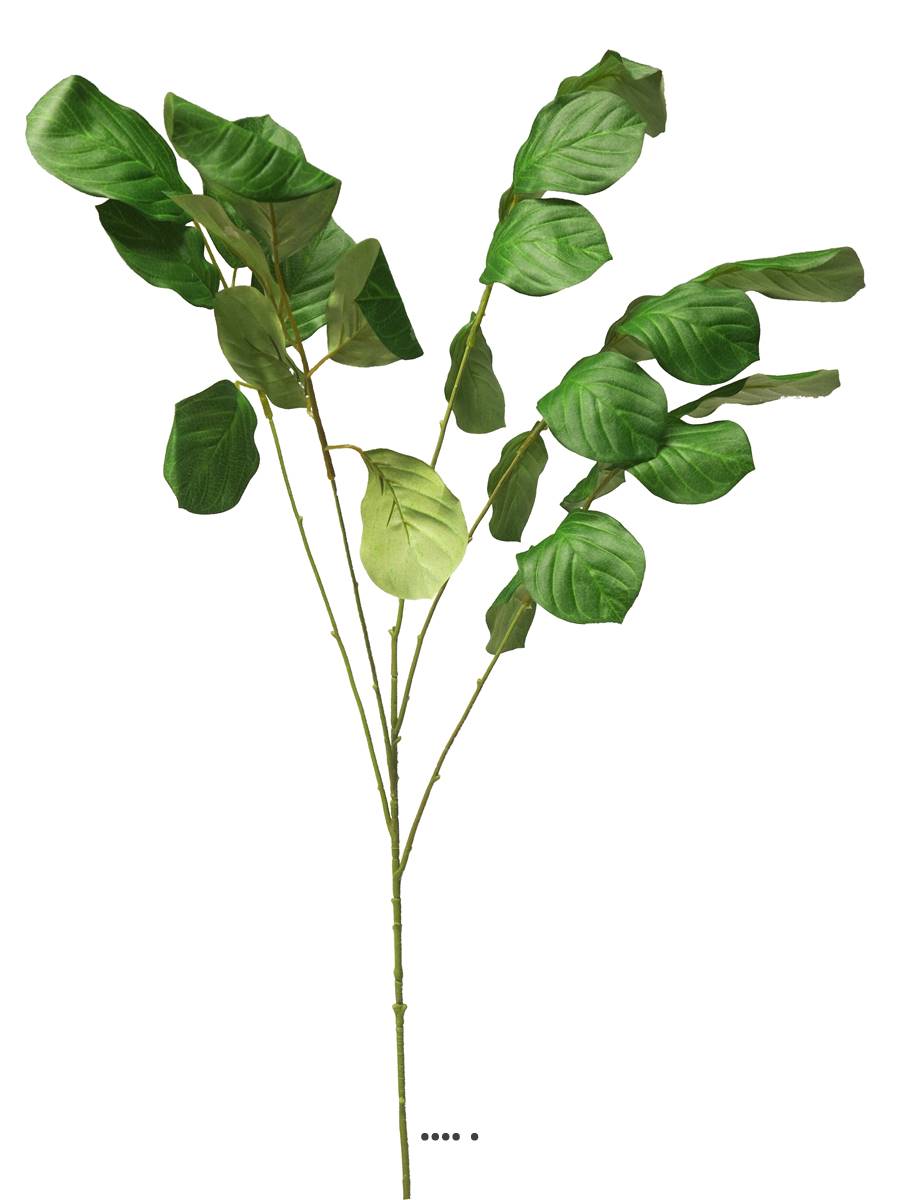 Branche de feuilles de Maranta leucineura, ARTIFICIELLES