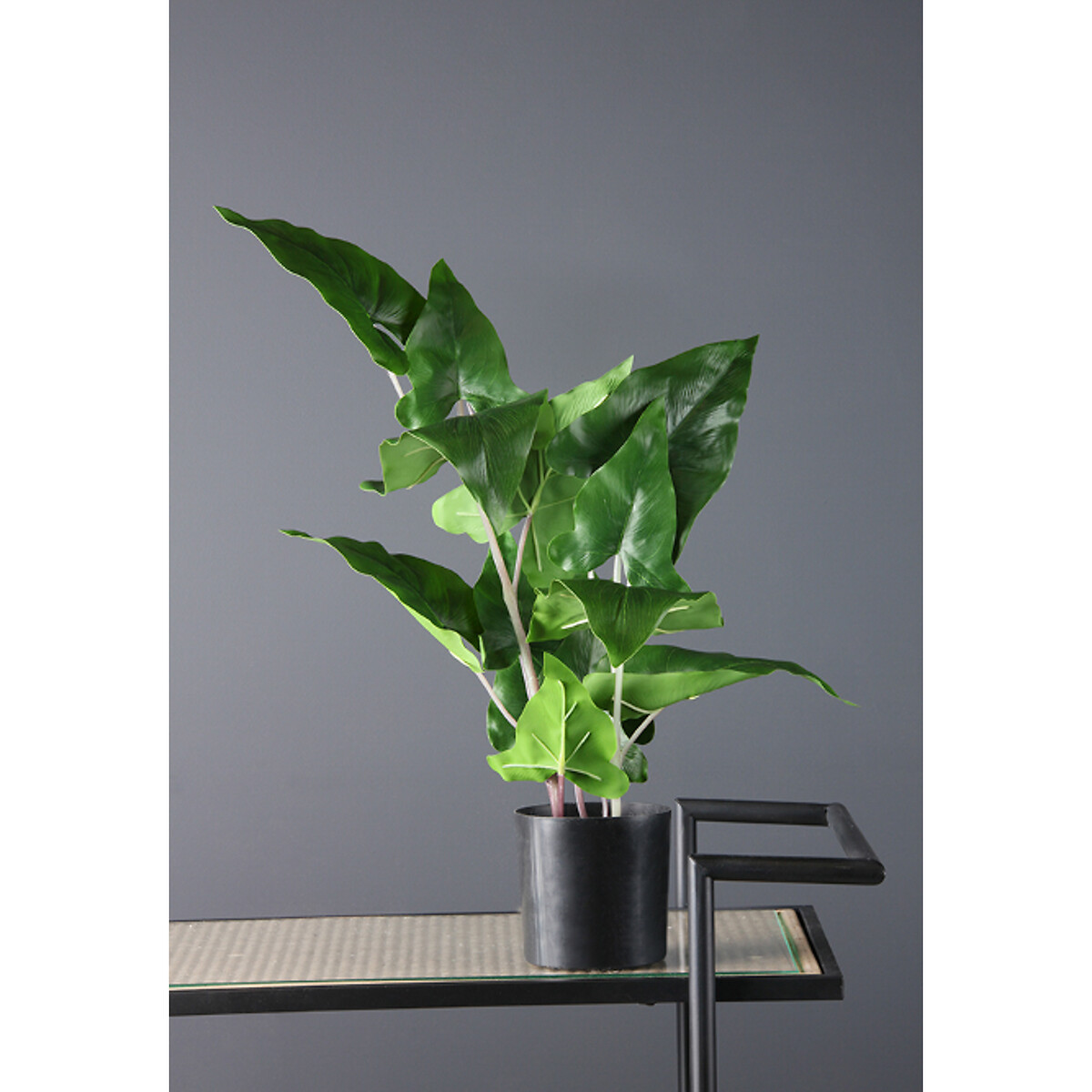 48cm Artificial Real Touch Typhonium Plant, SO'HOME