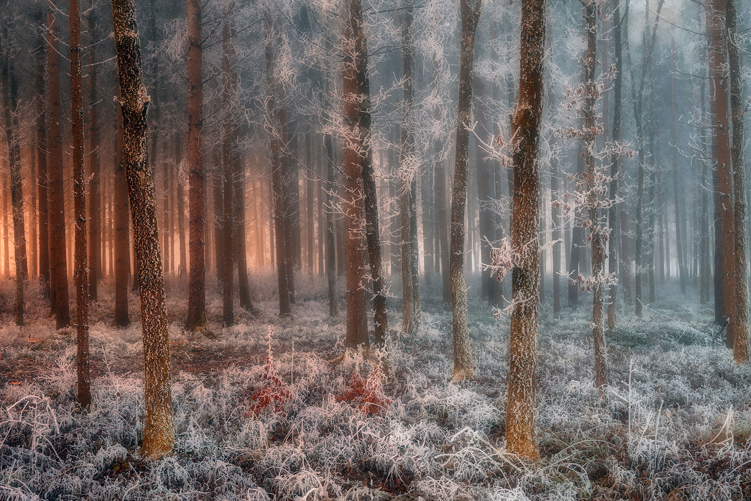 Tableau paysage de glace et de feu, HEXOA