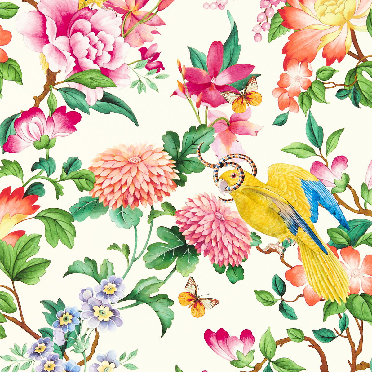 Golden Parrot Wallpaper, WEDGEWOOD & CLARKE & CLARKE