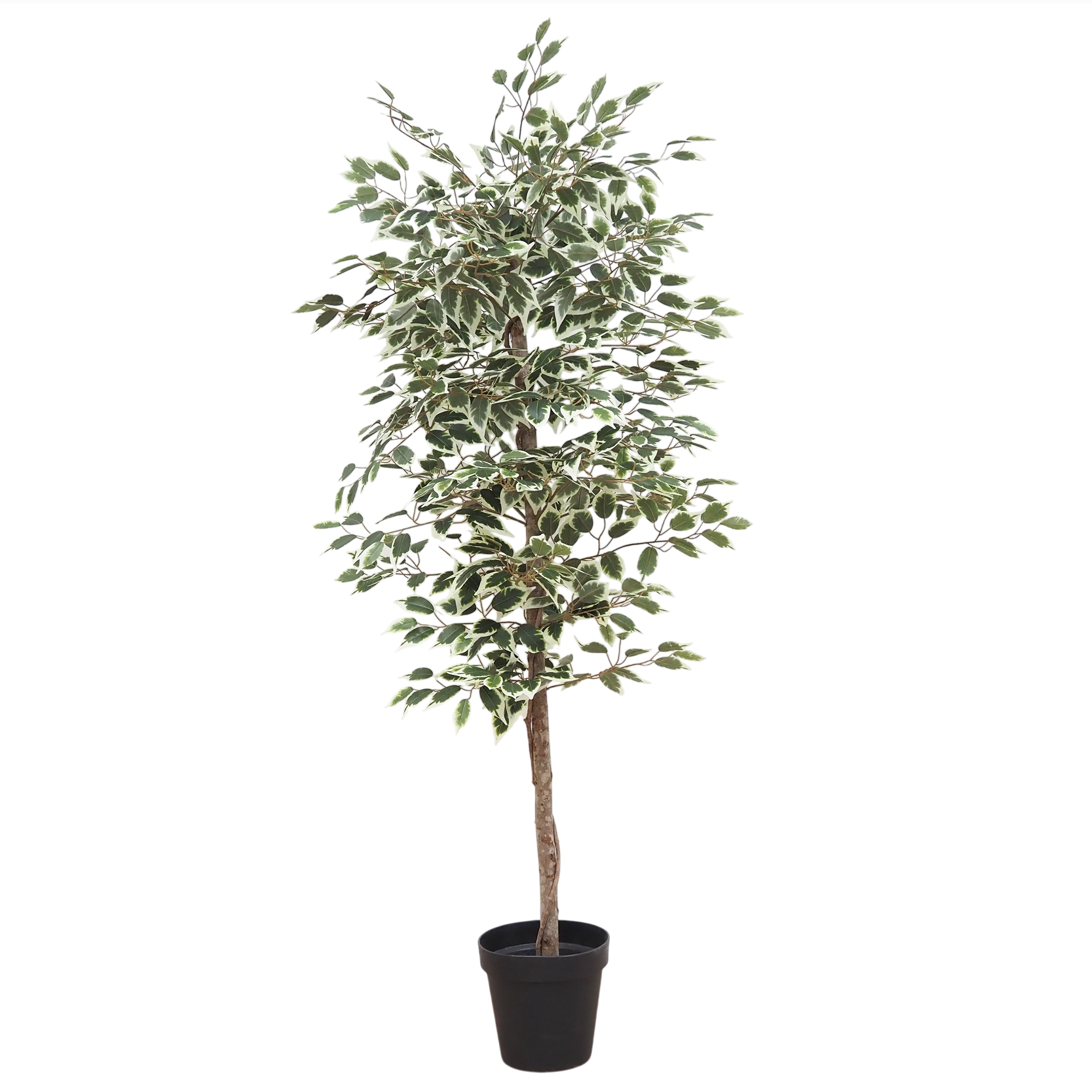 Ficus artificiel panaché 180cm, LIGNE DECO