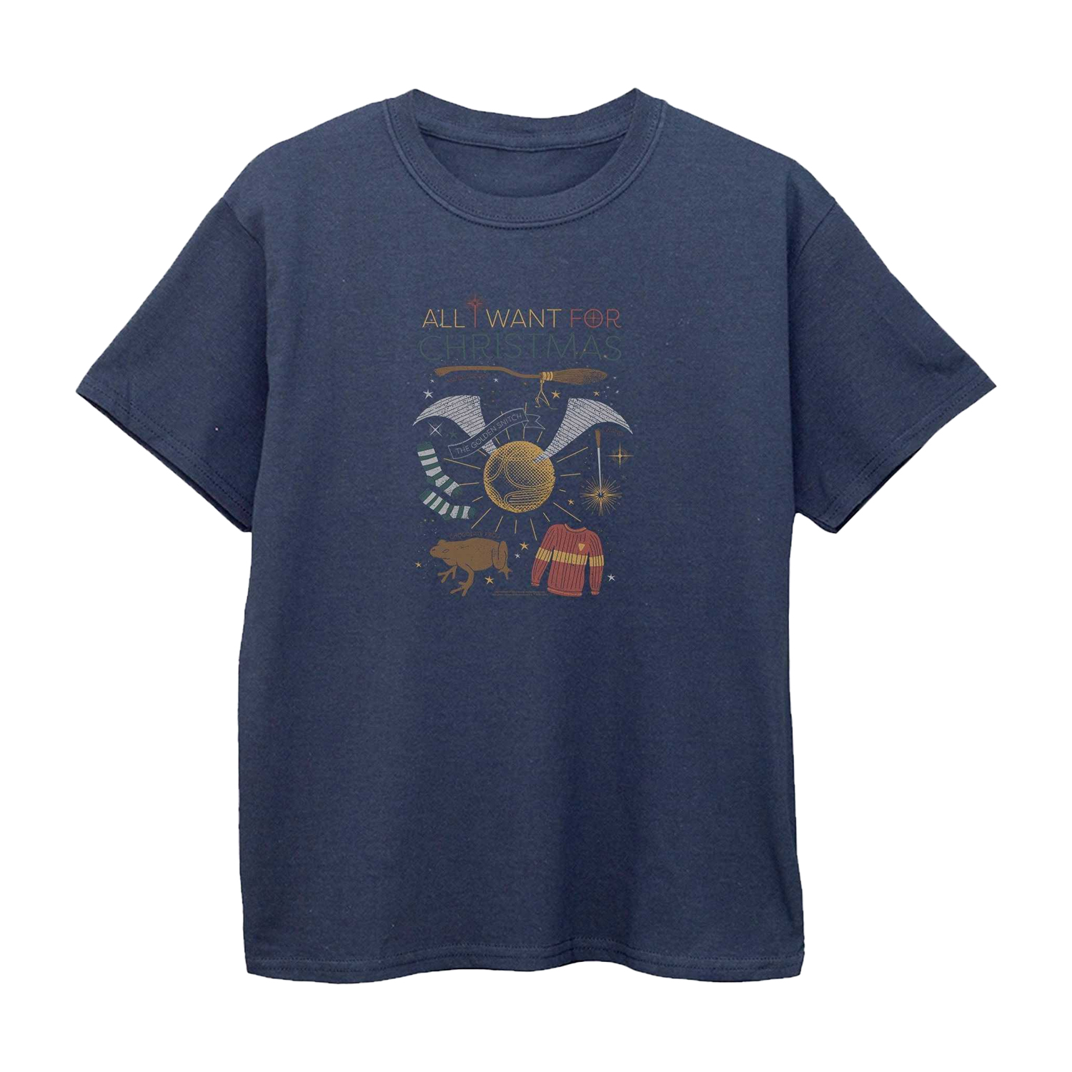 T-shirt ALL WANT FOR CHRISTMAS, HARRY POTTER
