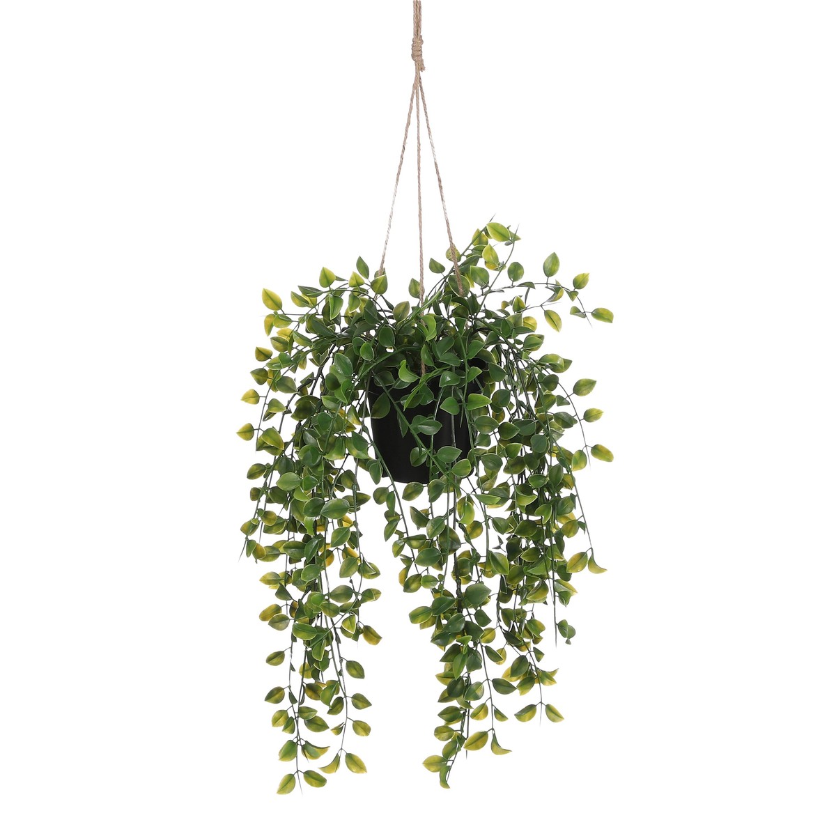 Plante artificielle FICUS, MICA DECORATIONS
