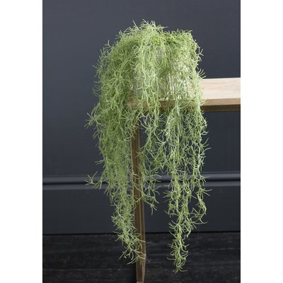70cm Artificial Trailing Spanish Moss / Tilandsia Plant SO'HOME