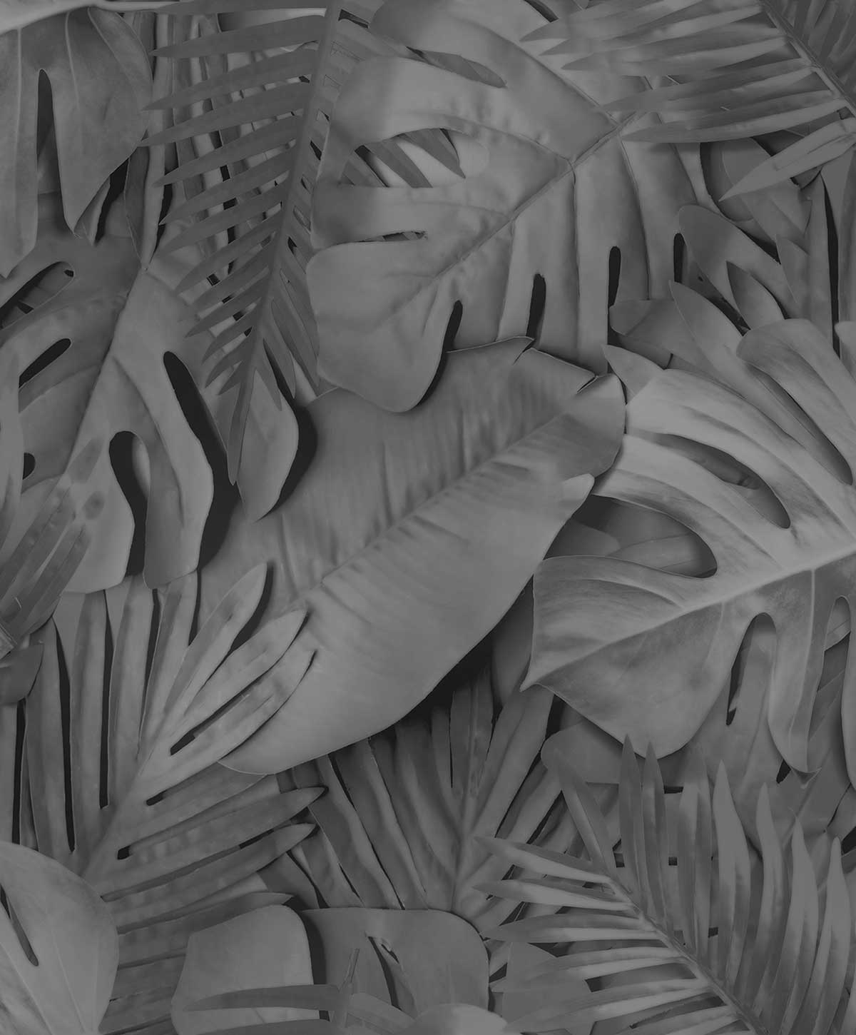 Papier peint feuillage tropical noir et blanc, HEXOA