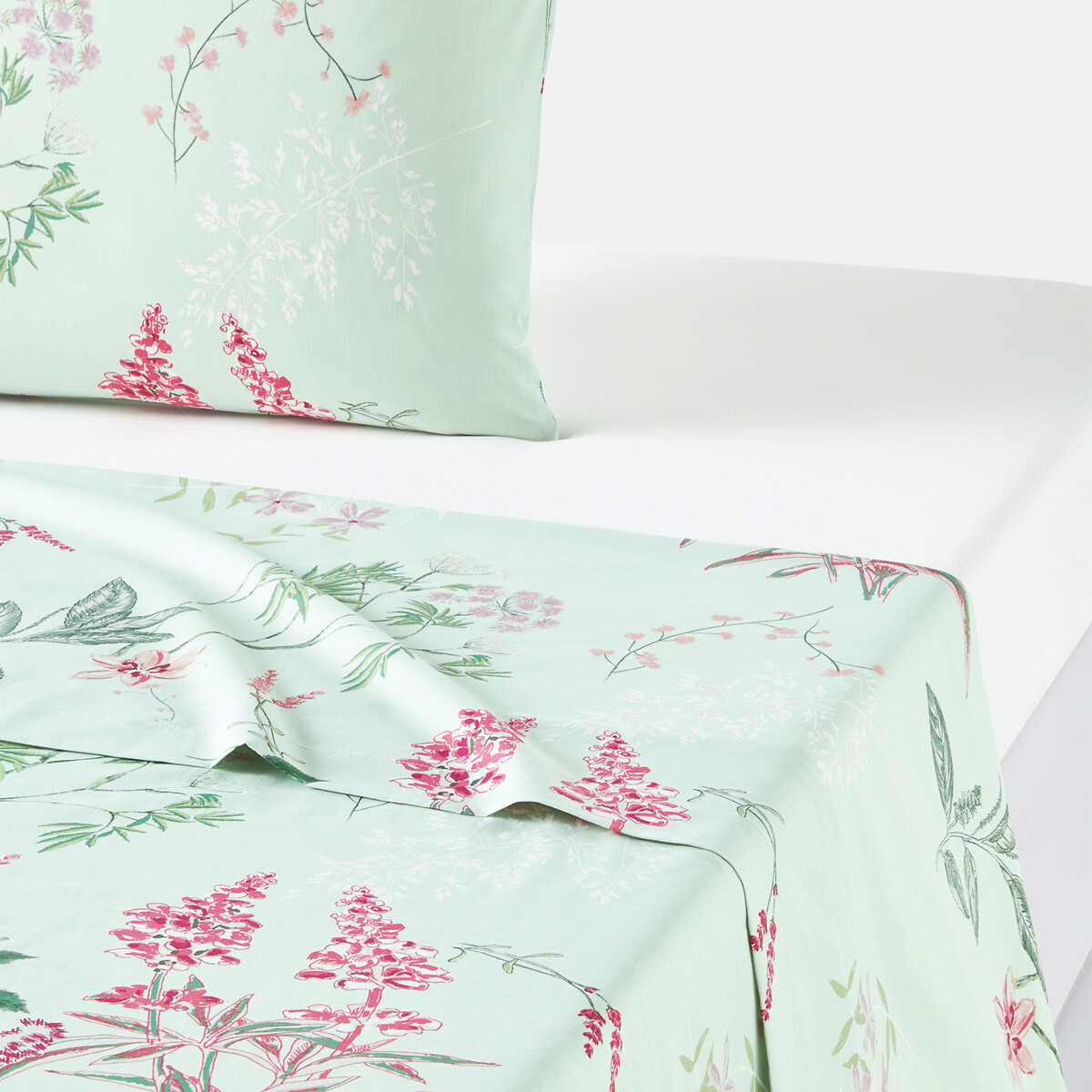 Drap plat percale de coton, Isoline, LA REDOUTE INTERIEURS