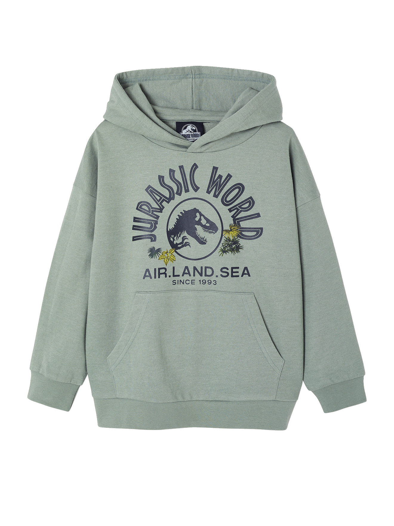 Sweat à capuche Jurassic World®, VERTBAUDET