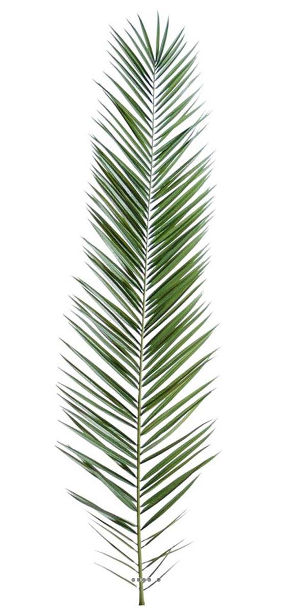 Feuille de palmier Phoenix artificielle, ARTIFICIELLES