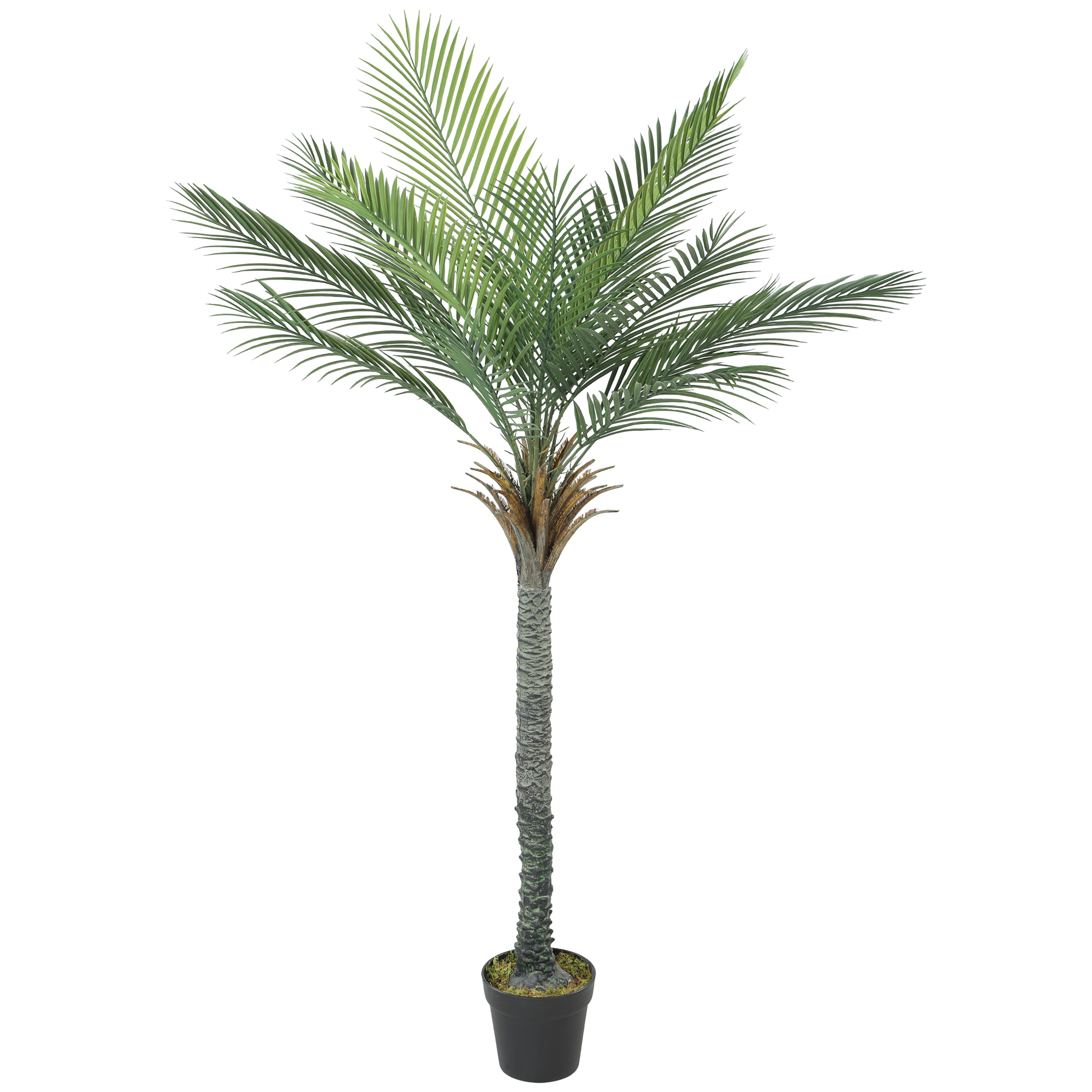 Palmier artificiel PE Vert, HOMCOM