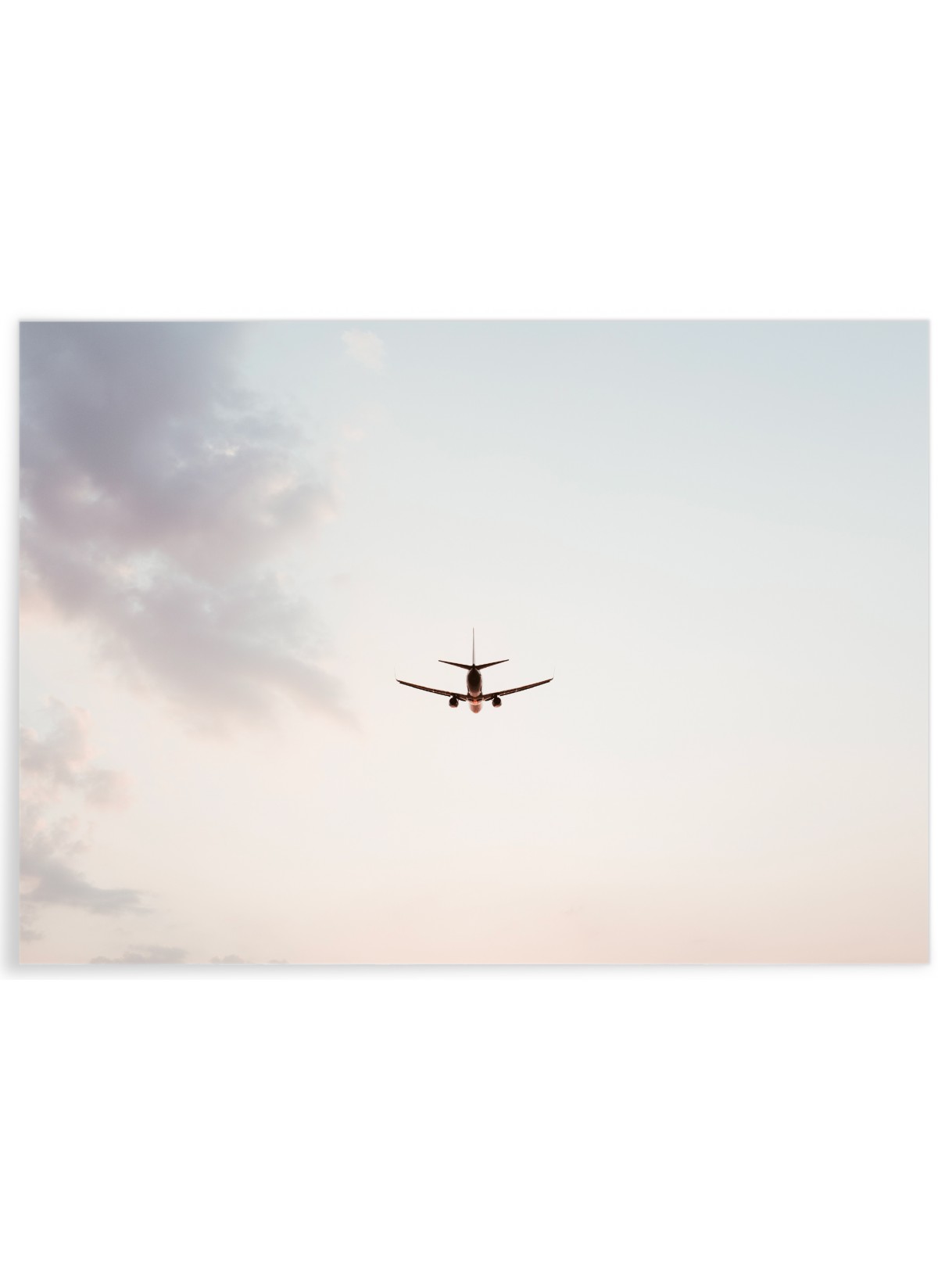 Poster Nature Avion, L'AFFICHERIE