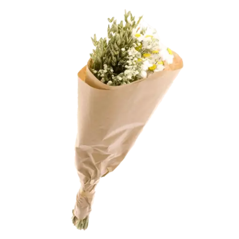 Bouquet Fleurs Séchées mix blanc déco 50 cm, NATURALYS