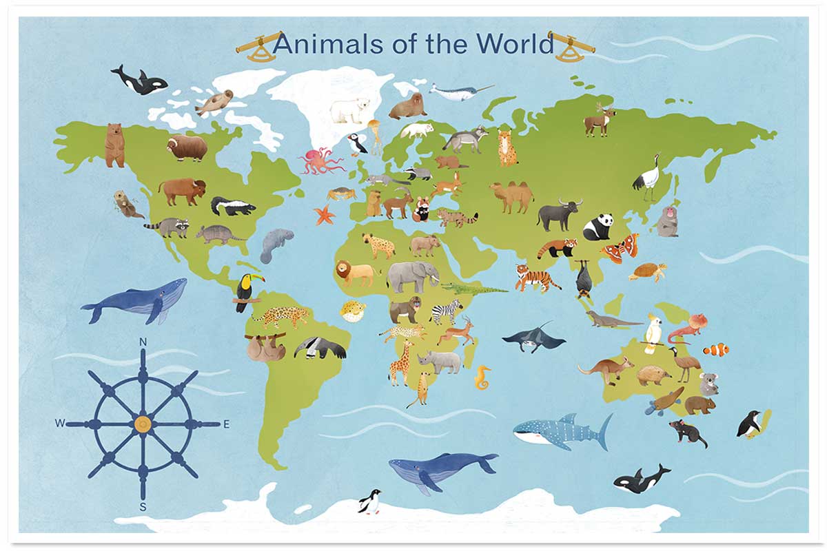 Affiche enfant animaux du monde, HEXOA