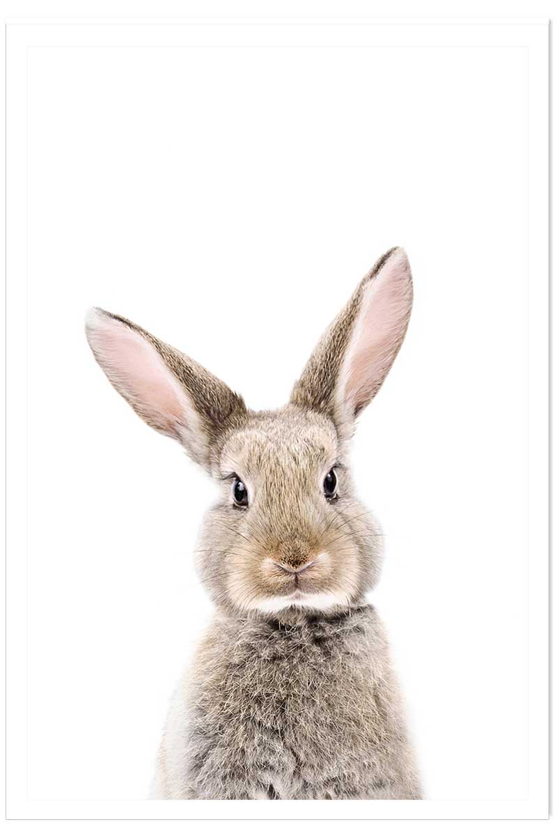 Affiche enfant bébé lapin, HEXOA
