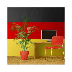 coque iphone 6 drapeau allemand coque iphone 6 drapeau allemand