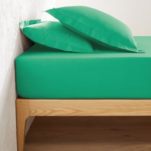 Drap housse en coton bonnet 25 cm, Scenario LA REDOUTE INTERIEURS