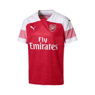 Maillot Domicile Arsenal gilet Maillot Domicile Arsenal gilet