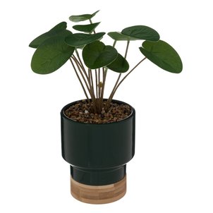 Plante artificielle LE COLLECTIONNEUR ATMOSPHERA