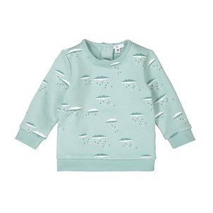 Bedrucktes Sweatshirt, Sweatware aus Bio-Baumwolle, 0 Monate - 3 Jahre LA REDOUTE COLLECTIONS image