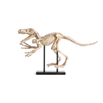 Dinosaurier-Modell Dona, Polyresin, L. 81 cm, kleines Modell AM.PM