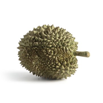 Kleine Schatulle Durian AM.PM