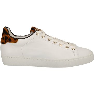 chaussure hogl homme