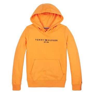 Sweat com capuz em algodão bio, 10-16 anos TOMMY HILFIGER