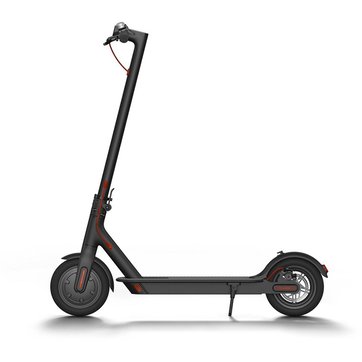 trotteur scooter des mers