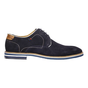 derbies salamander