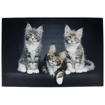 Tapis Pour Chat La Redoute