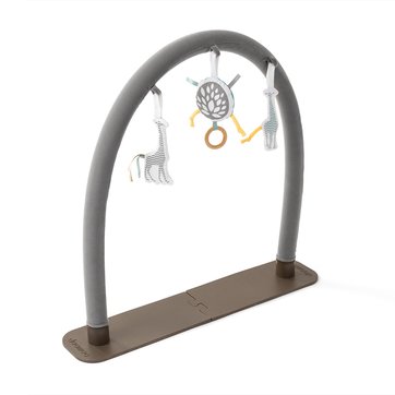 Arco de atividades universal Giraf A105404 BABYMOOV
