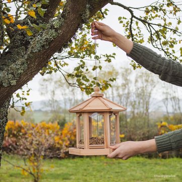 Accessoires Et Nourriture Pour Oiseau La Redoute