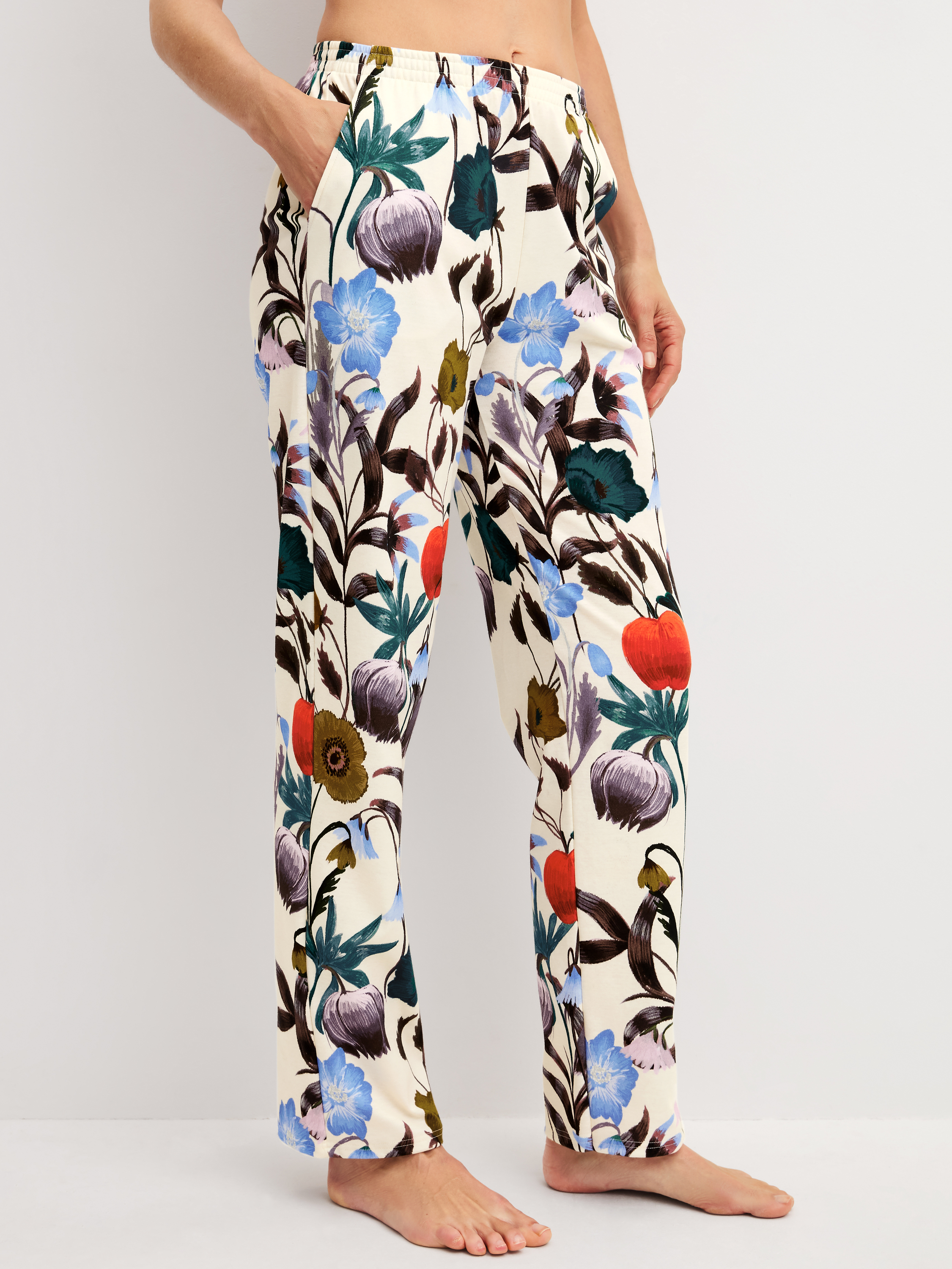 Coton ALPINE M&M, CALIDA