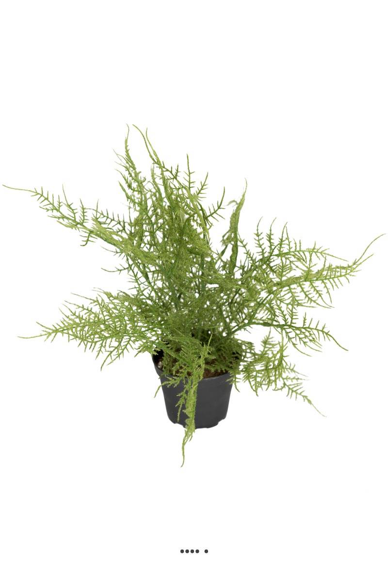 Fougère Plumosus artificielle en pot, H 30 c, ARTIFICIELLES