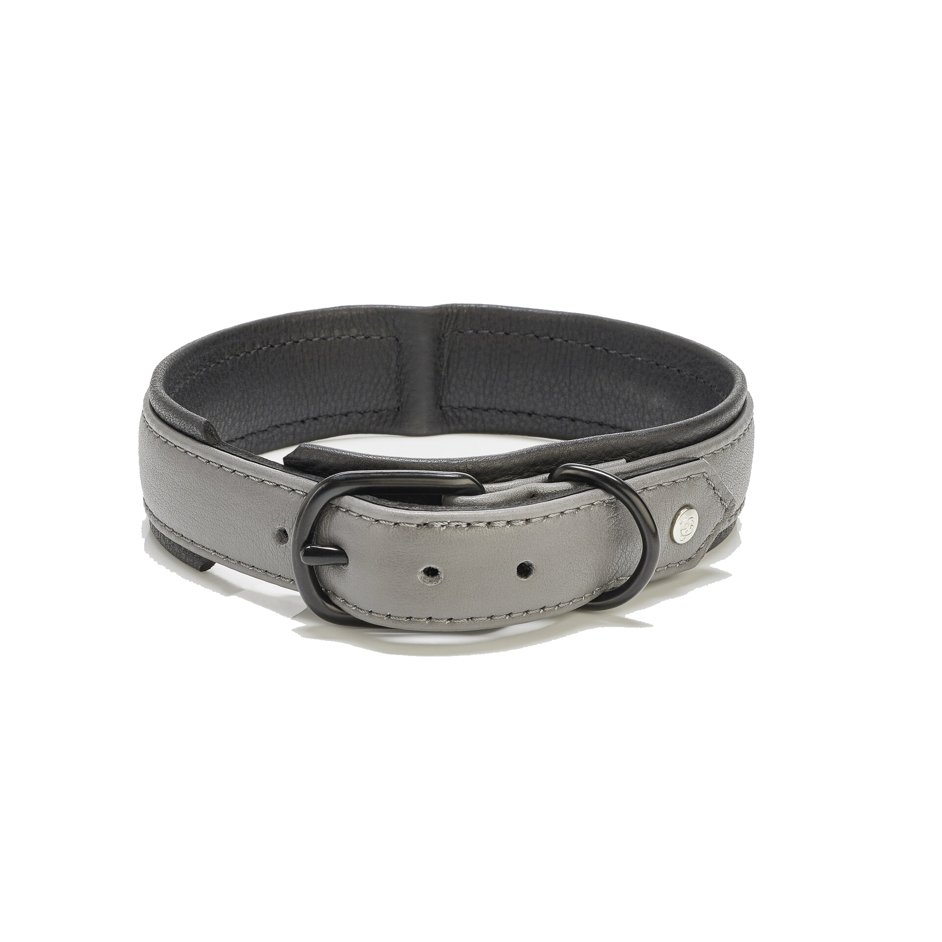 Collier chien en cuir AMICI, LABONI