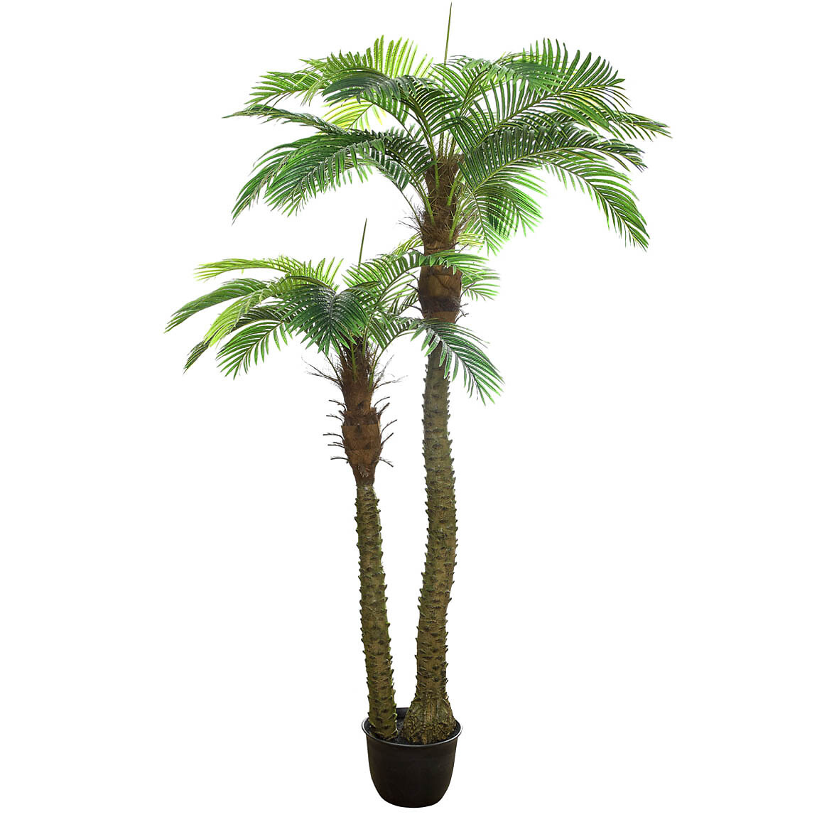 Planta artificial "Areca Duo" 210cm, BORGHESI, BORGHESI
