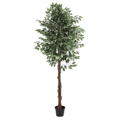 Ficus artificiel panaché 210cm LIGNE DECO