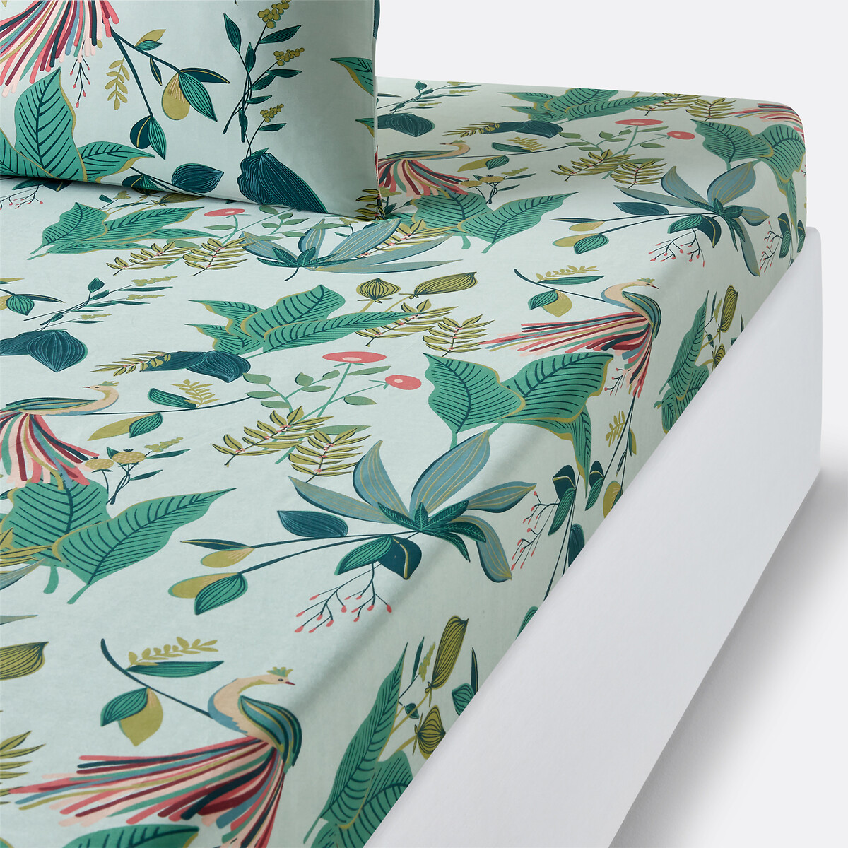 Drap Housse Percale De Coton, Somerset
