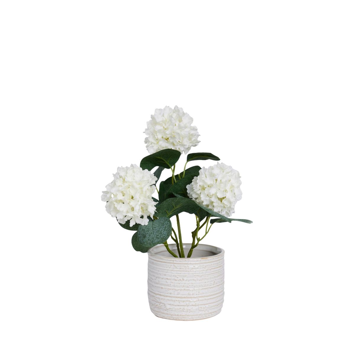Pot en céramique avec viorne artificielle, NEXT