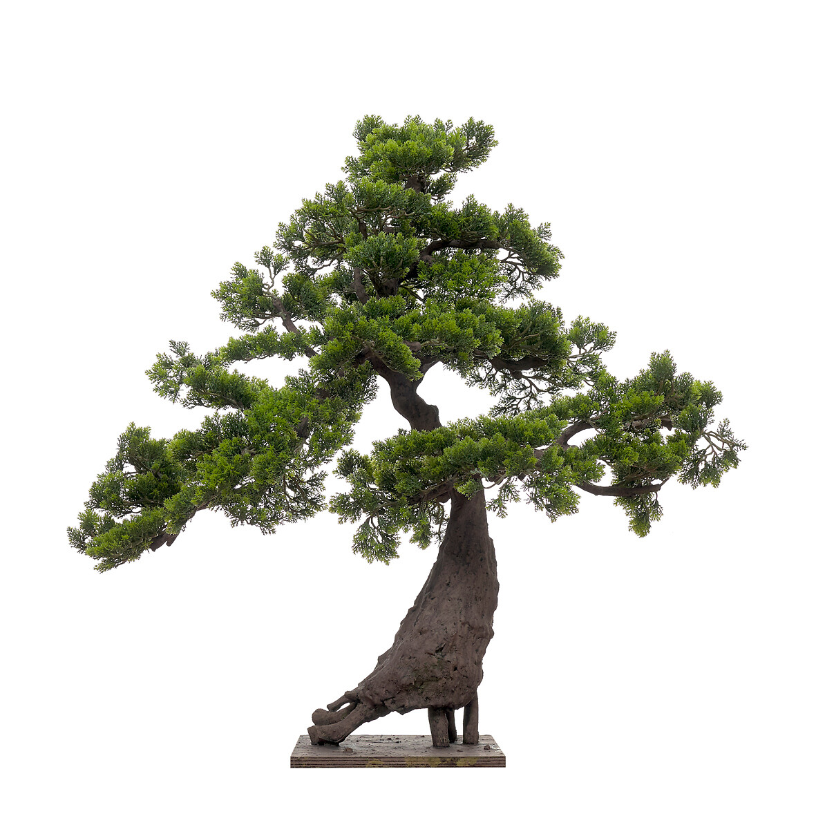 Planta artificial "Bonsai Cipres" 95cm, BORGHESI, BORGHESI