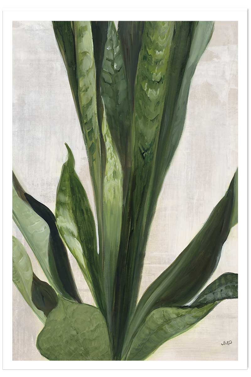 Poster Sanseveria aquarelle, HEXOA
