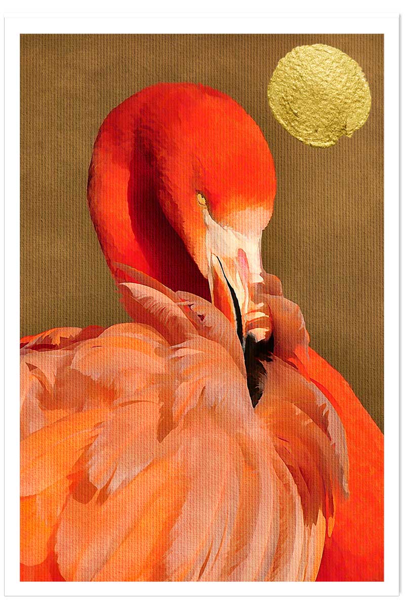Affiche animaux flamingo et soleil d'or, HEXOA